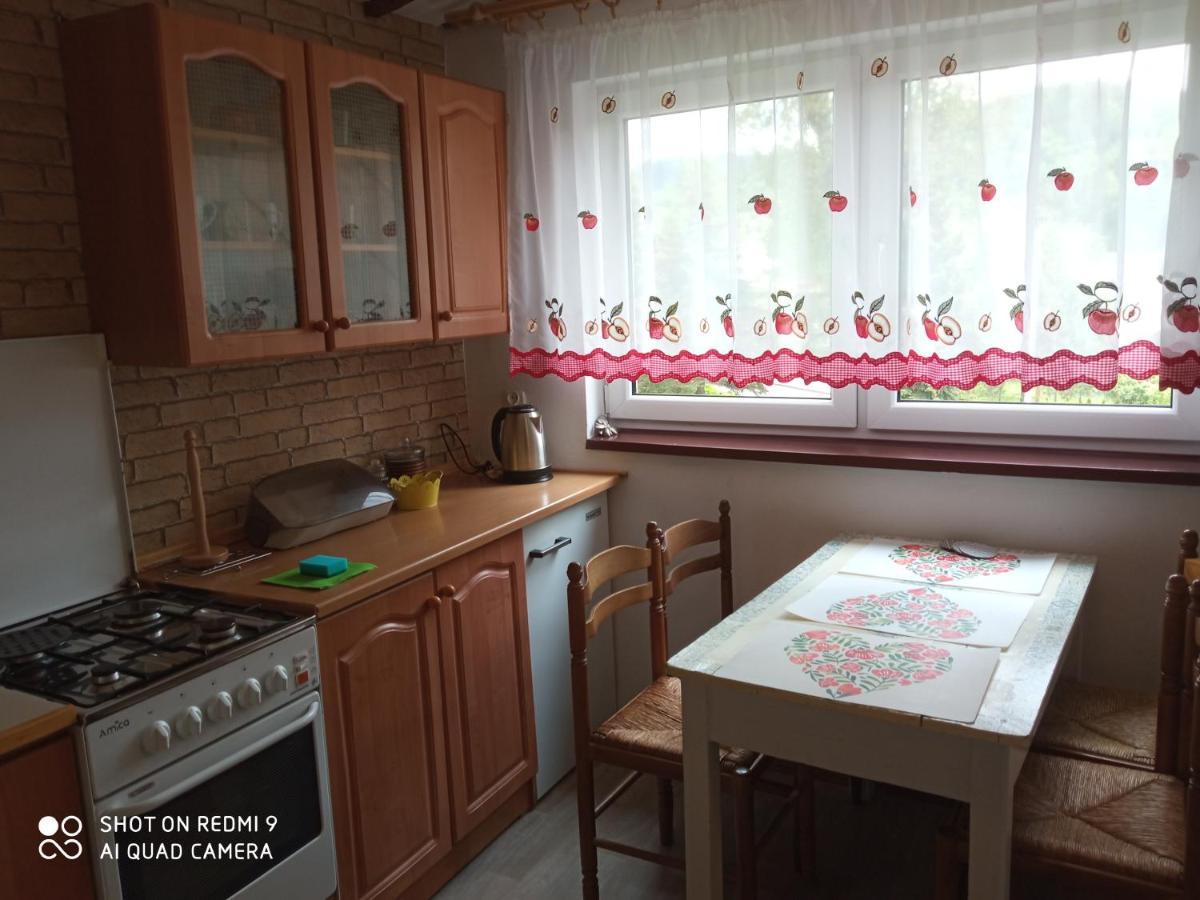 Domek I Apartamenty Stokrotka كرينيتسا زدروي المظهر الخارجي الصورة