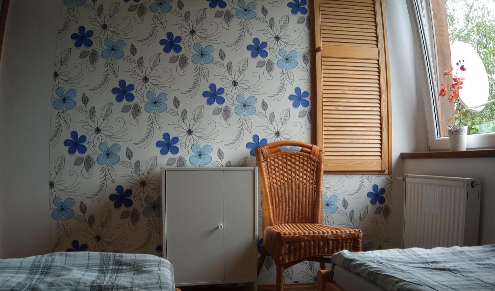 Domek I Apartamenty Stokrotka كرينيتسا زدروي المظهر الخارجي الصورة